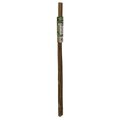 Gardeners Blue Ribbon BB3 Plant Stake, 3 ft L, Bamboo, Natural Bamboo BB3N